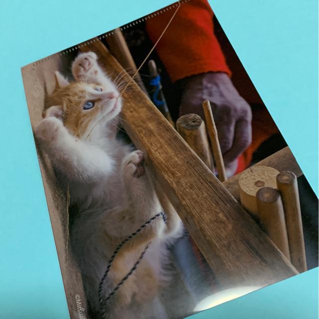 こねこのファイル 販促品 < インテリア/ライフ  こねこのファイル 販促品  < インテリア/ライフの