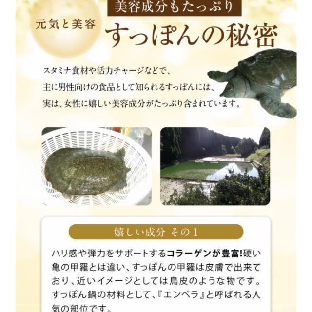 Y | ۂ񍕐| |݃Tvg3 _CGbg Nێ