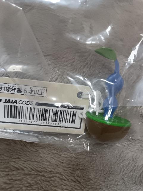 �s�N�~���A�����t�B�M���A�u���[�n �� �z�r�[�� 