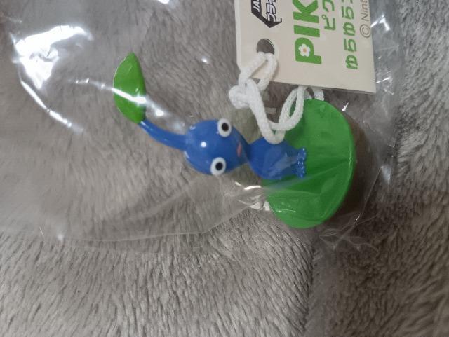 �s�N�~���A�����t�B�M���A�u���[�n �� �z�r�[�� 