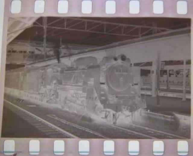 UkCŉ߂AucTPRRRv̋MdȃlK@   zr[ 