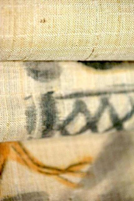 夏物 紗紬 中古 着物 送料無料 身丈161cm 裄丈62.5cm 最高級 蝉 松 庭石 正絹 カジュアル T3589 < 女性ファッション  夏物 紗紬 中古 着物 送料無料 身丈161cm 裄丈62.5cm 最高級 蝉 松 庭石 正絹 カジュアル T3589 < 女性ファッションの