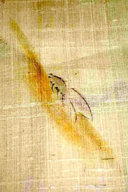 夏物 紗紬 中古 着物 送料無料 身丈161cm 裄丈62.5cm 最高級 蝉 松 庭石 正絹 カジュアル T3589 < 女性ファッション  夏物 紗紬 中古 着物 送料無料 身丈161cm 裄丈62.5cm 最高級 蝉 松 庭石 正絹 カジュアル T3589 < 女性ファッションの