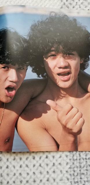 週刊セブンティーン特別編集 田原俊彦 野村義男 近藤真彦 < タレントグッズ  週刊セブンティーン特別編集 田原俊彦 野村義男 近藤真彦 < タレントグッズの