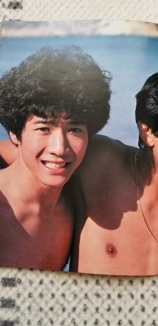 週刊セブンティーン特別編集 田原俊彦 野村義男 近藤真彦 < タレントグッズ  週刊セブンティーン特別編集 田原俊彦 野村義男 近藤真彦 < タレントグッズの