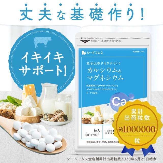カルシウム&マグネシウム サプリメント 約3ヵ月分 健康食品 < グルメ/ドリンク  カルシウム&マグネシウム サプリメント 約3ヵ月分 健康食品 < グルメ/ドリンクの