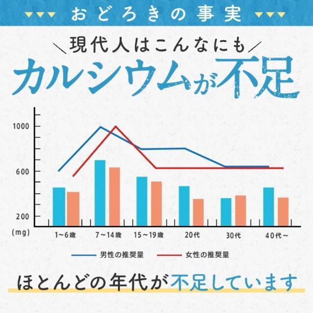 カルシウム&マグネシウム サプリメント 約3ヵ月分 健康食品 < グルメ/ドリンク  カルシウム&マグネシウム サプリメント 約3ヵ月分 健康食品 < グルメ/ドリンクの