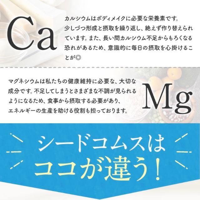 カルシウム&マグネシウム サプリメント 約3ヵ月分 健康食品 < グルメ/ドリンク  カルシウム&マグネシウム サプリメント 約3ヵ月分 健康食品 < グルメ/ドリンクの