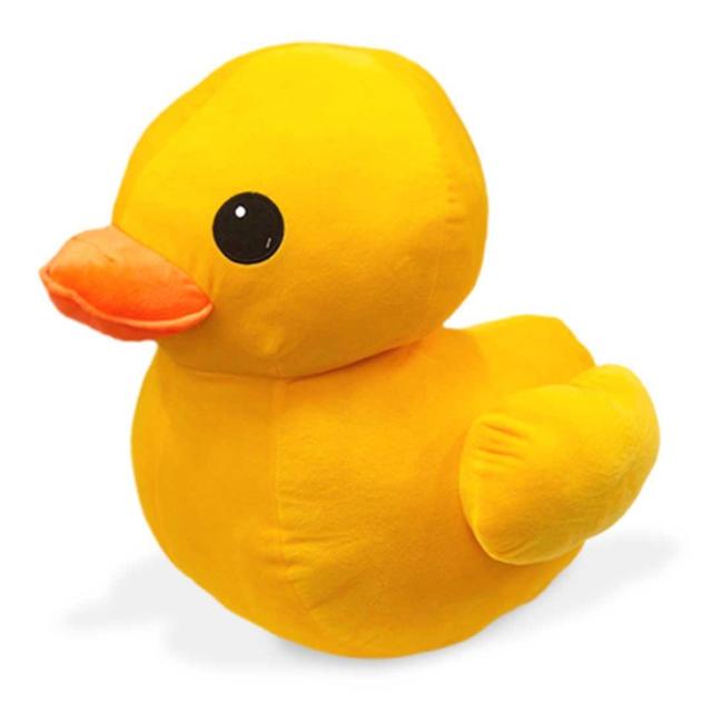 ʂ ԂAq 70cm CG[   NbV Ђ悱   