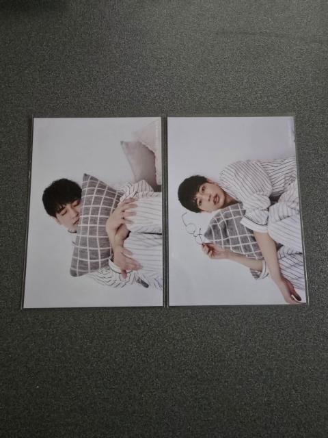 RAB(���A���A�L�o�{�[�C�Y) �l�X ���a 2025 �u���}�C�h 11���Z�b�g �� �^�����g�O�b�Y�� 