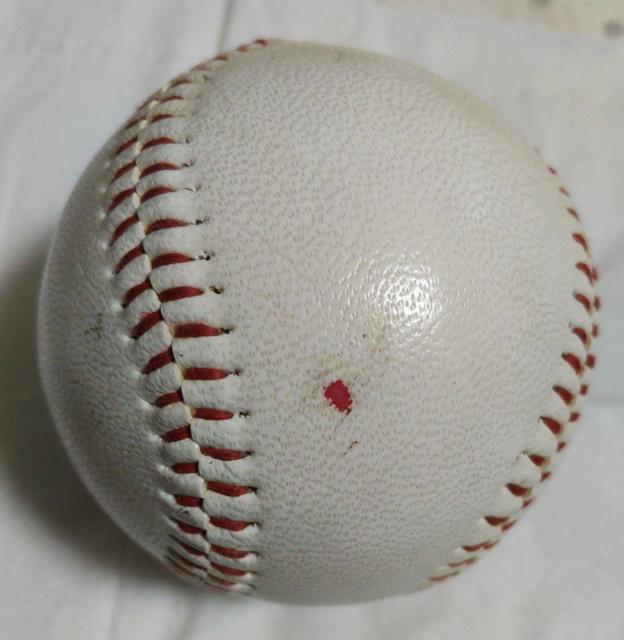 �~�X�^�[���I�@�ΖэG�T�@���M�T�C���{�[�� �� ���W���[/�X�|�[�c�� 