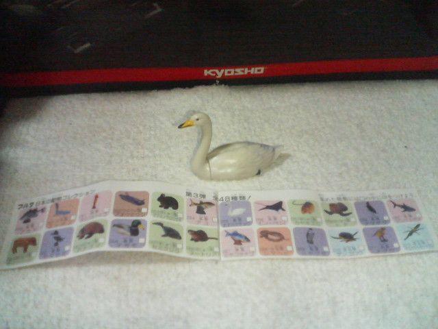 フルタ 日本の動物3 オオハクチョウ < ホビー フルタ 日本の動物3 オオハクチョウ < ホビーの