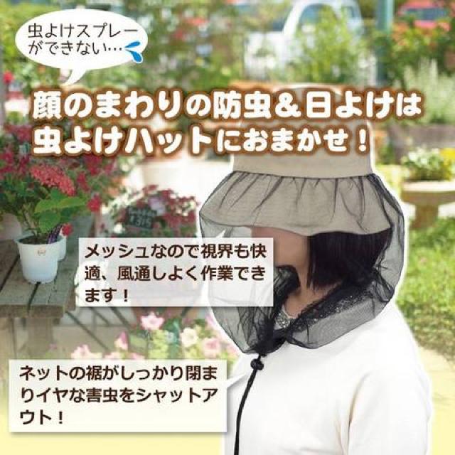 悯lbg 悯X 悯K[fjOnbg@MTCY  t@bV 