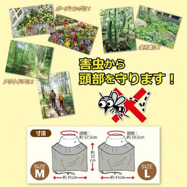 悯lbg 悯X 悯K[fjOnbg@MTCY  t@bV 