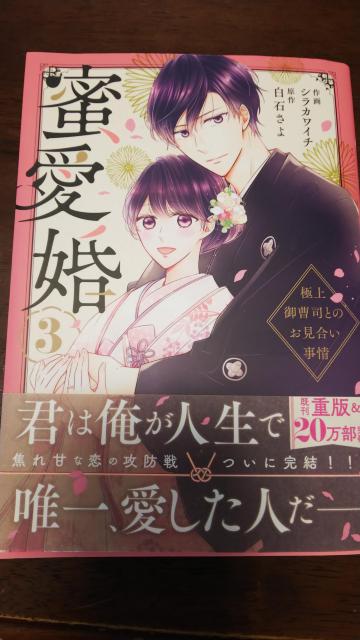 蜜愛婚B〜極上御曹司とのお見合い事情〜作画シラカワイチ原作白石さよ☆ベリーズコミックス < アニメ/コミック/キャラクター 蜜愛婚B〜極上御曹司とのお見合い事情〜作画シラカワイチ原作白石さよ☆ベリーズコミックス < アニメ/コミック/キャラクターの