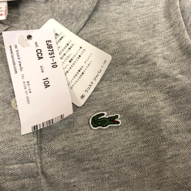  Vi ^Ot LACOSTE RXe GIRLS̎qn|hX  uh 