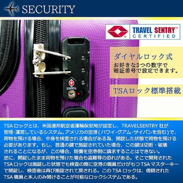 35L X[cP[X @݉ 8 u[Lt  J[L  jt@bV 