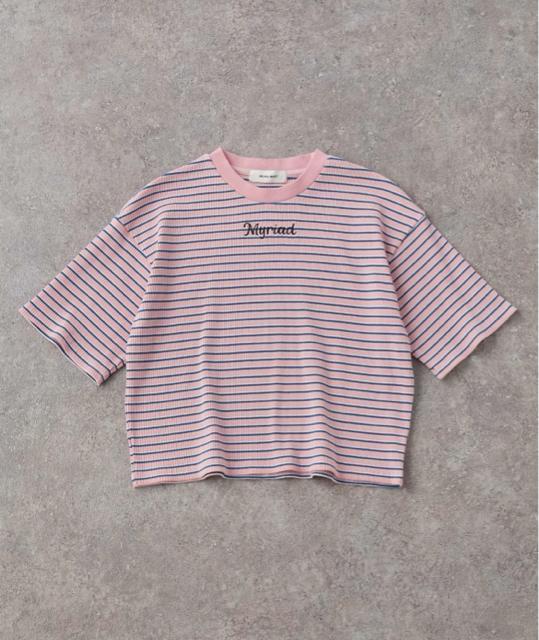 完売品 ワンポイント刺繍マルチボーダーショート丈半袖Tシャツ < 女性ファッション 完売品 ワンポイント刺繍マルチボーダーショート丈半袖Tシャツ < 女性ファッションの