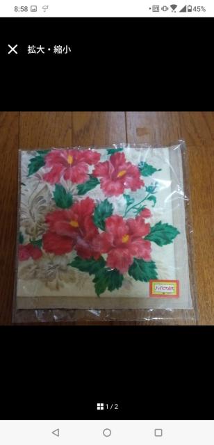 �n�C�r�X�J�X�@�n���J�`�@��100��  �� �C���e���A/���C�t�� 