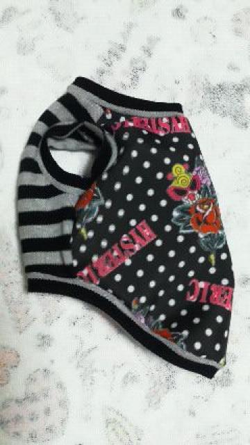 ハンドメイド*ヒスミニTシャツ*バラ・ドット・ボーダー・犬用*S < ペット/手芸/園芸  ハンドメイド*ヒスミニTシャツ*バラ・ドット・ボーダー・犬用*S < ペット/手芸/園芸の