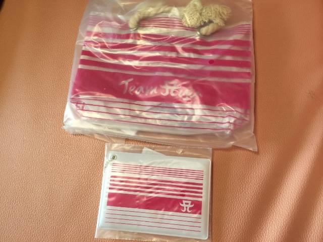 TeamAyu ミニバッグ&ネームタグセット^_−☆ < タレントグッズ  TeamAyu ミニバッグ&ネームタグセット^_−☆  < タレントグッズの