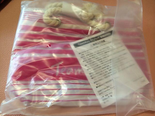 TeamAyu ミニバッグ&ネームタグセット^_−☆ < タレントグッズ  TeamAyu ミニバッグ&ネームタグセット^_−☆ < タレントグッズの