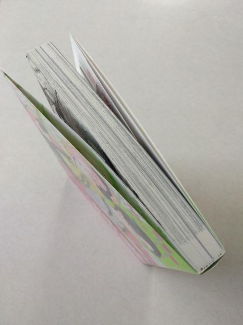 バッドロマンス・フリーク・ショー/茶渡ロメ男 < アニメ/コミック/キャラクター バッドロマンス・フリーク・ショー/茶渡ロメ男 < アニメ/コミック/キャラクターの