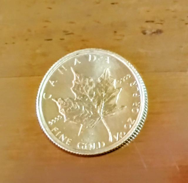 K24 純金 メイプルリーフ 1/10オンス金貨 < ホビー K24 純金 メイプルリーフ 1/10オンス金貨 < ホビーの