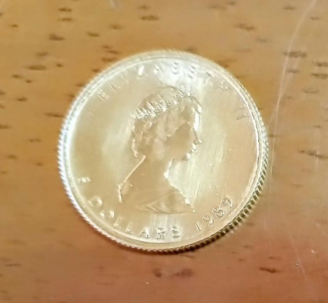 K24 純金 メイプルリーフ 1/10オンス金貨 < ホビー K24 純金 メイプルリーフ 1/10オンス金貨 < ホビーの