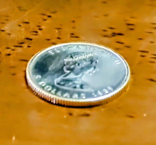 K24 純金 メイプルリーフ 1/10オンス金貨 < ホビー K24 純金 メイプルリーフ 1/10オンス金貨 < ホビーの