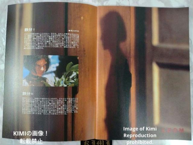LEON f ptbg { 1995 7 I Leon The Professional Movie Pamphle  zr[ 