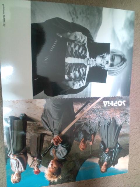 SOPHIA ポストカード < タレントグッズ SOPHIA ポストカード < タレントグッズの