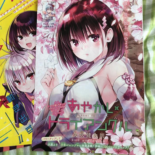 あやかしトライアングル カラー切り抜き 9枚 < 本/雑誌  あやかしトライアングル カラー切り抜き 9枚 < 本/雑誌の