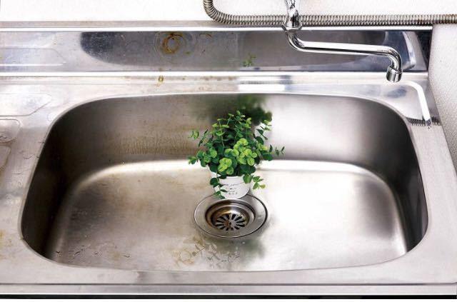 IԁE]Ԃ̃zC[̑|ʑAA䏊̑|ɁIyړIN[i450gzP  CeA/Ct 