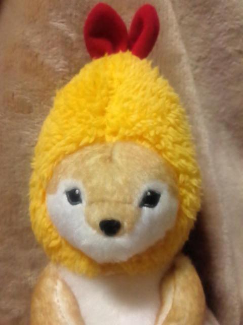 ■mofusand■えびわん ぬいぐるみ■ < アニメ/コミック/キャラクター  ■mofusand■えびわん ぬいぐるみ■ < アニメ/コミック/キャラクターの
