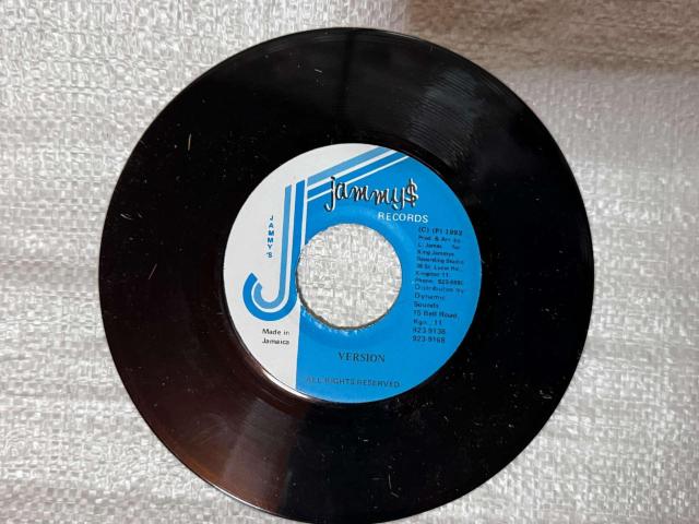 Garnet Silk - Fill Us Up With Your Mercy  7�C���` ���R�[�h �� CD/DVD/�r�f�I�� 