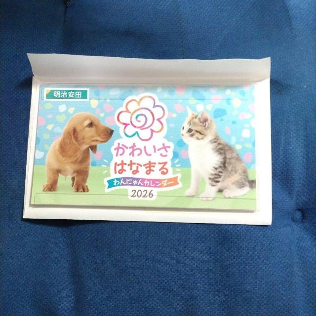 かわいさはなまる2026 置き型カレンダー < ホビー かわいさはなまる2026 置き型カレンダー < ホビーの