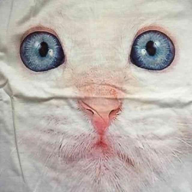 ブルーアイ猫フェイス転写プリントTシャツ。ラベンダー < 女性ファッション  ブルーアイ猫フェイス転写プリントTシャツ。ラベンダー < 女性ファッションの