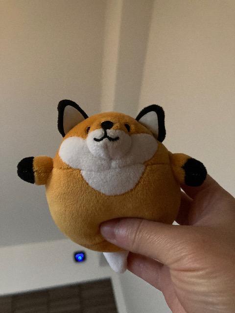 �L�c�l�̂ʂ�����݁@�@����  �� ��������� 