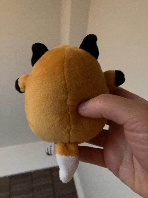 �L�c�l�̂ʂ�����݁@�@���� �� ��������� 