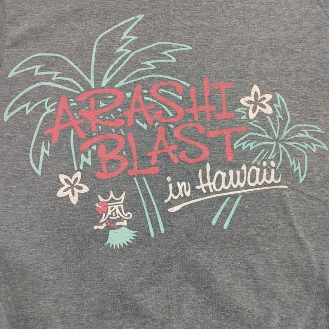 2014 ARASHI BLAST in Hawaii nC  TVc ObY RT[g  vg S  ^gObY 