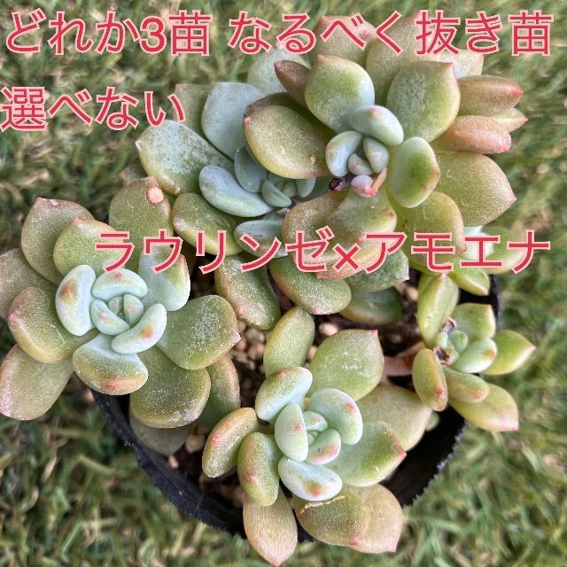 E[~AGi nl zc A c JLq c    ybg/|/| 