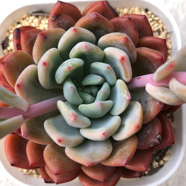 E[~AGi nl zc A c JLq c   ybg/|/| 