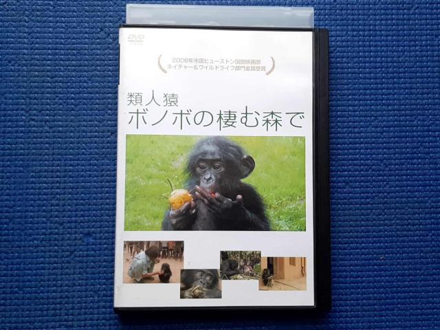 DVD �ސl���{�m�{�̐��ސX��  �� CD/DVD/�r�f�I�� 