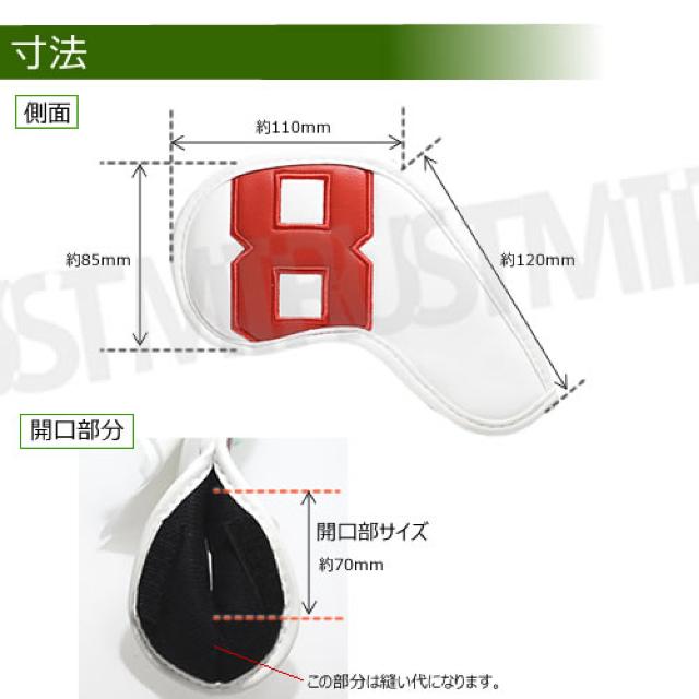 U[ACAJo[ 10Zbg Ԏ zCg StyGgz  W[/X|[c 