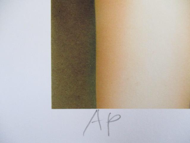 zioiIlCIΐYu~グ鏗v̌ŉAGfBAMTČoi@摜P͈ꕔł  zr[ 