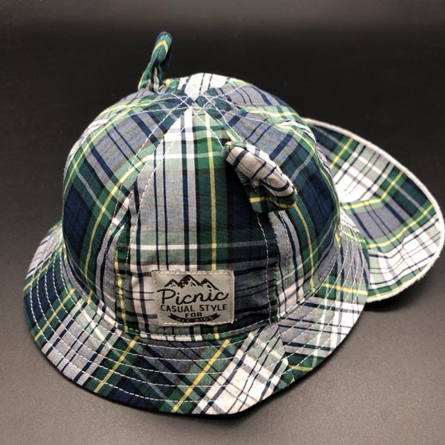  ~LnEX Picnic Xq nbg   LbY/xr[ 