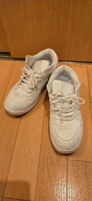 �X�j�[�J�[  �� �����t�@�b�V������ 