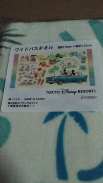 ][gSUNNY SUNNYSummerChoX^I