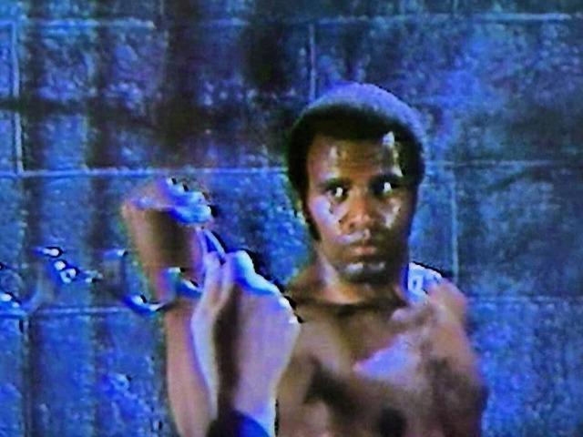 hS{ꐁւŁԌ  CD/DVD/rfI 